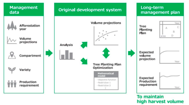 Bridgestone Leverages Big Data to Implement Optimal Plantation for Higher Yield in Para Rubber Tree Farms