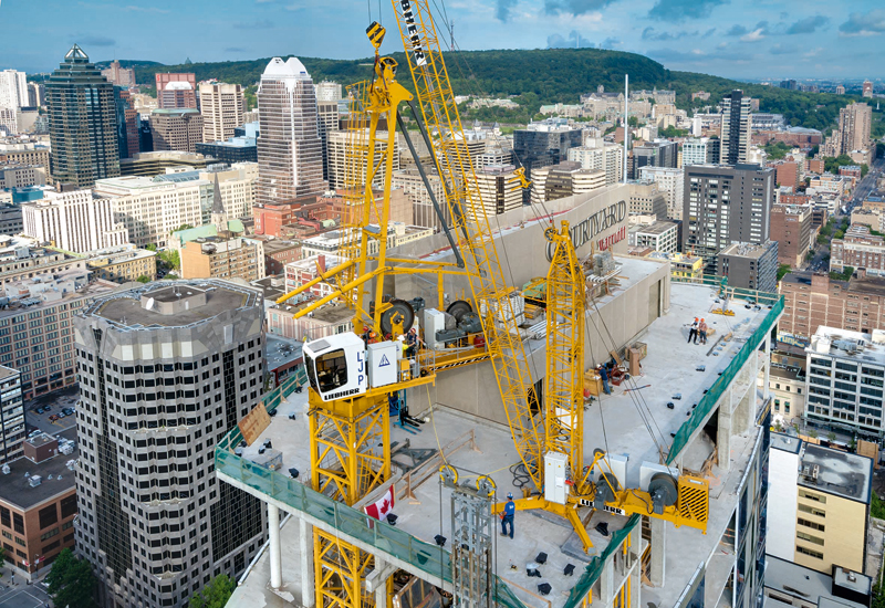 High-altitude work for Liebherr dismantling crane