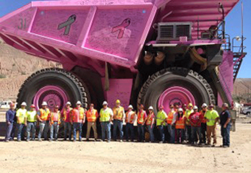 Liebherr giant gets pink paintjob for good cause