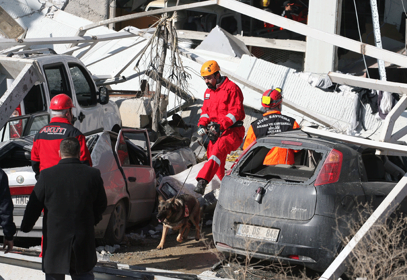 17 people killed in Turkish plant blasts