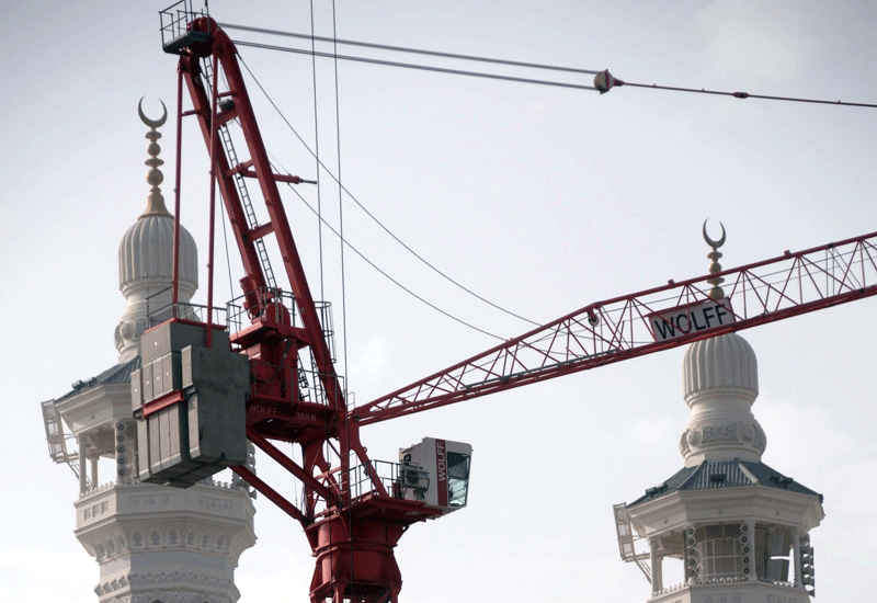 Wolff cranes to stay in Mecca until 2012