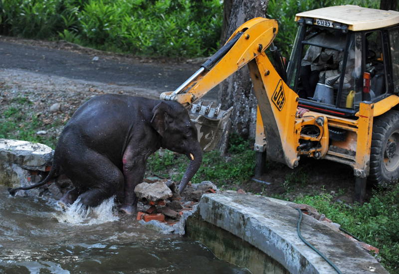 JCB to open fourth India factory at $100m cost