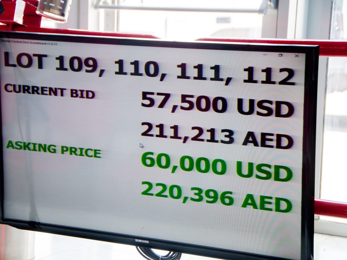 Consignors urged to commit equipment to sale now, as Euro Auctions builds upon sale success in Middle East