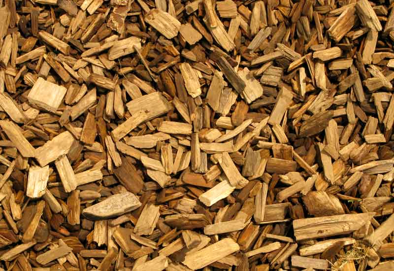 World's first biomass diesel plant opens