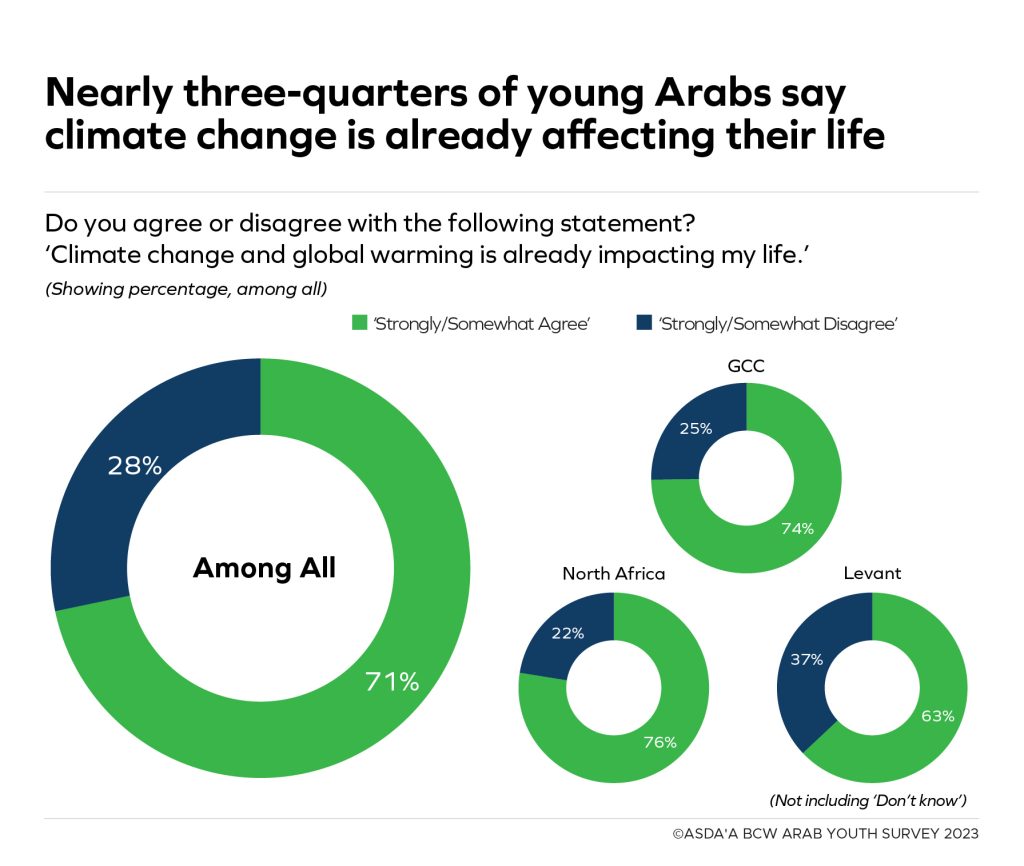 Environment concerns Arab youth survey